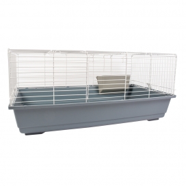 LG342524