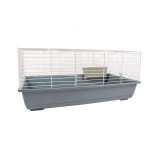 LG342548