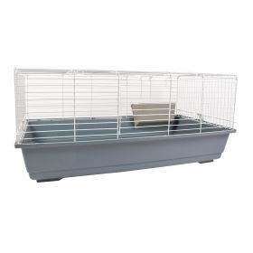 LG342562