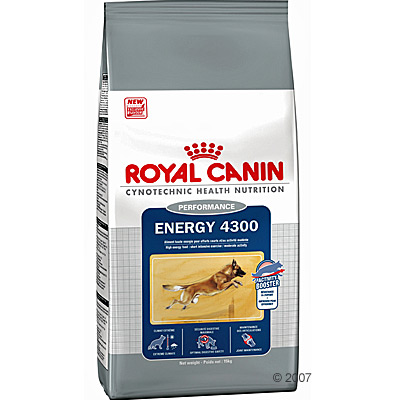 RCEnergy4300