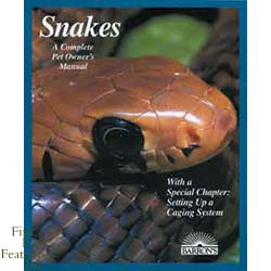 Snakes