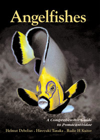 angelfishes_c