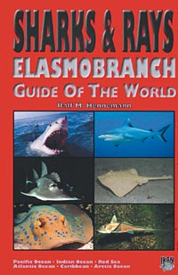 sharks_rays_c