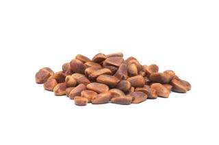 small_Cedar_nuts