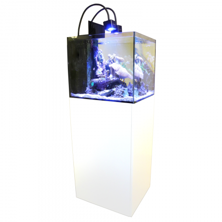 Cubicus CF Qube