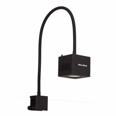 Qube 50